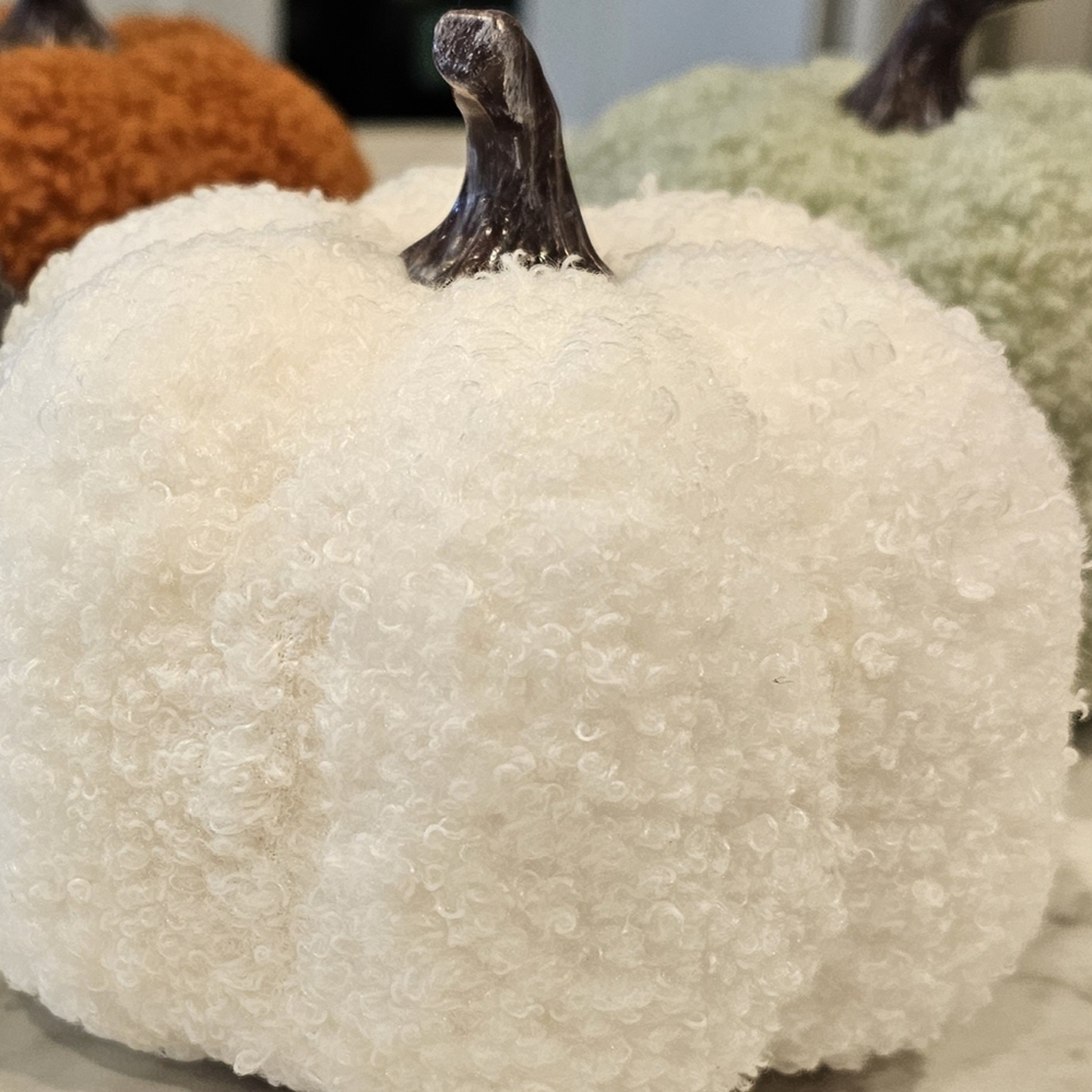 Sherpa Pumpkins Set of 4 Medium - Picture 6 of 13